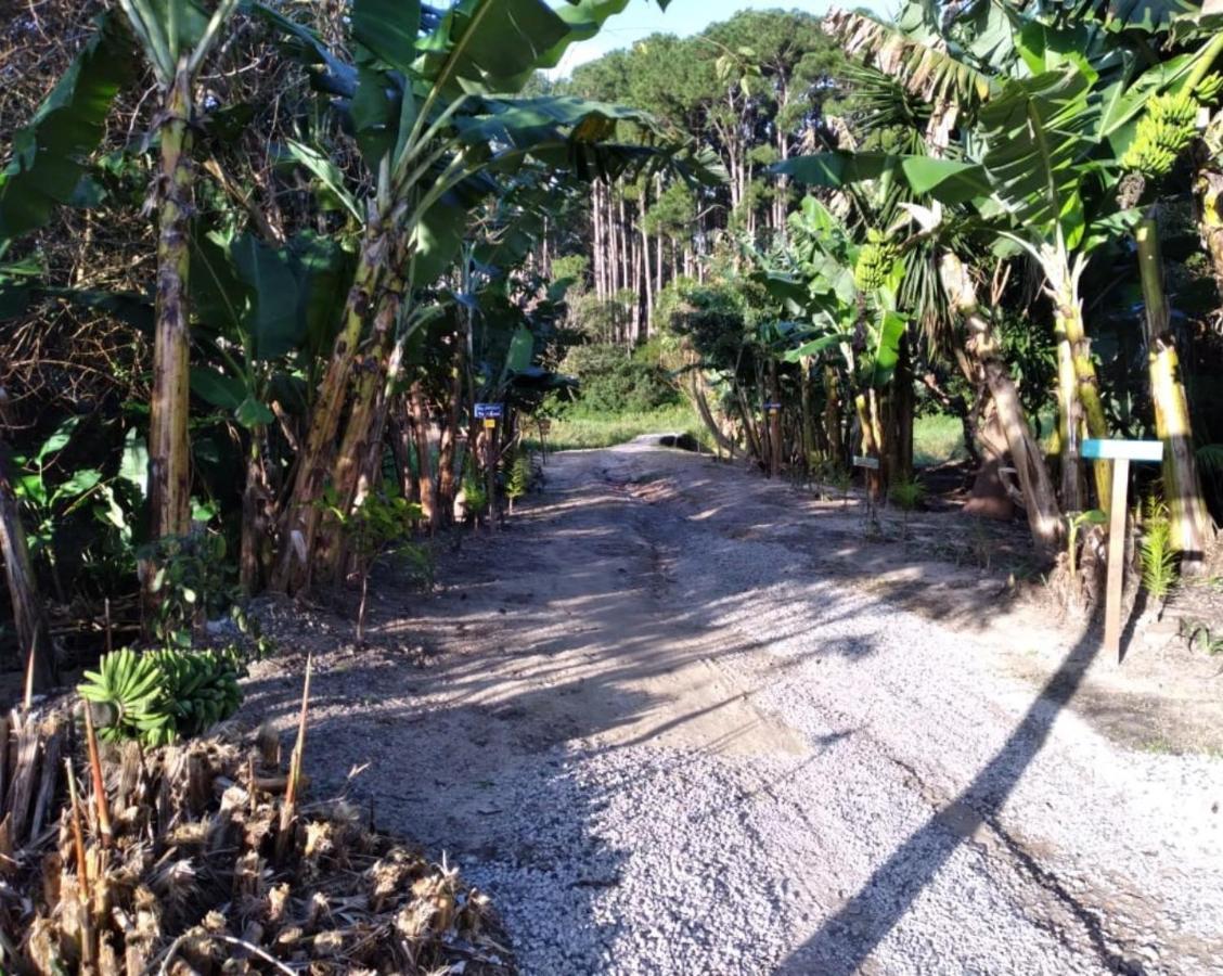 Bangalos Florianópolis المظهر الخارجي الصورة